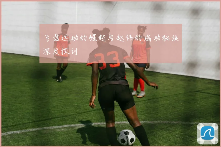 飞盘运动的崛起与赵伟的成功秘诀深度探讨