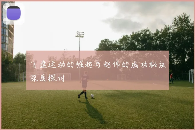 飞盘运动的崛起与赵伟的成功秘诀深度探讨