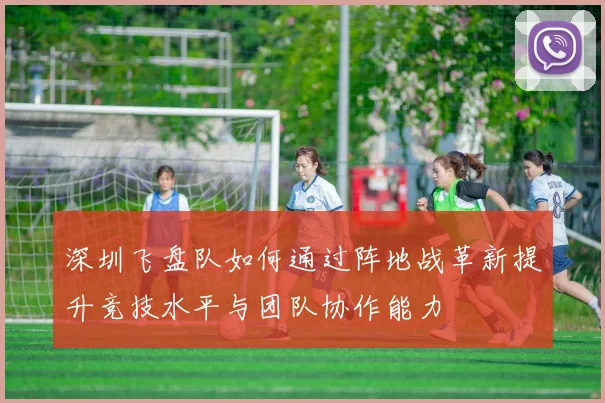 深圳飞盘队如何通过阵地战革新提升竞技水平与团队协作能力
