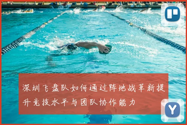 深圳飞盘队如何通过阵地战革新提升竞技水平与团队协作能力