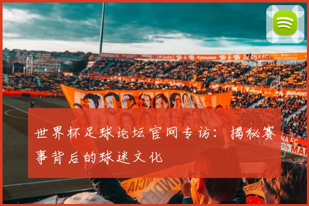 世界杯足球论坛官网专访：揭秘赛事背后的球迷文化