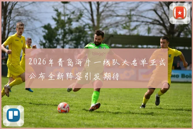 2026年青岛海牛一线队大名单正式公布全新阵容引发期待