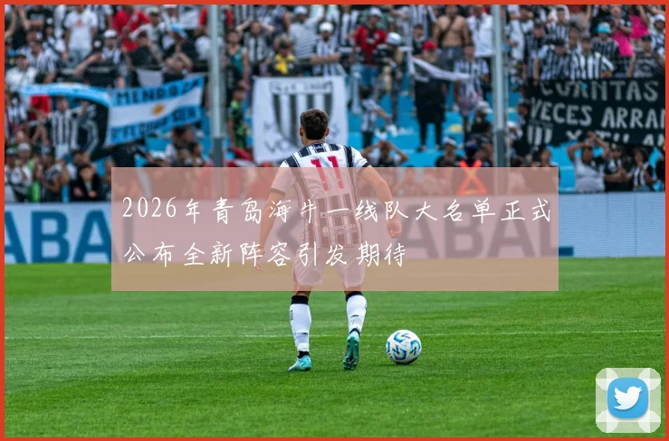 2026年青岛海牛一线队大名单正式公布全新阵容引发期待