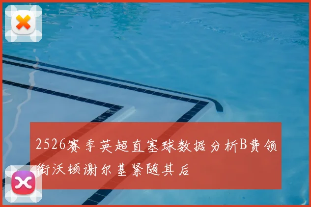 2526赛季英超直塞球数据分析B费领衔沃顿谢尔基紧随其后