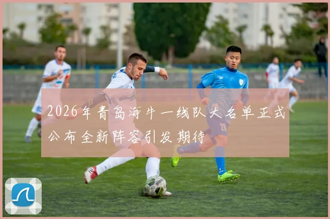 2026年青岛海牛一线队大名单正式公布全新阵容引发期待