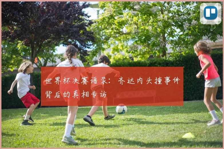 世界杯决赛语录：齐达内头撞事件背后的真相专访