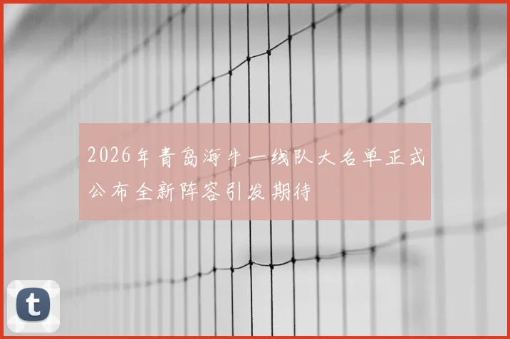 2026年青岛海牛一线队大名单正式公布全新阵容引发期待