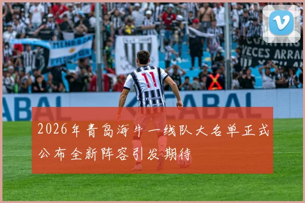 2026年青岛海牛一线队大名单正式公布全新阵容引发期待