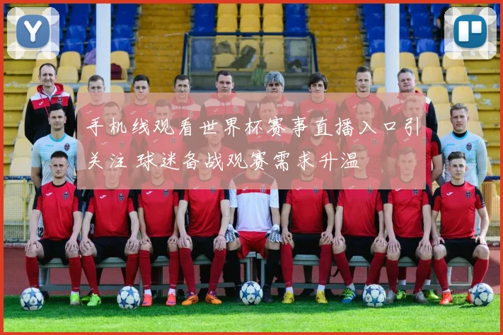 手机线观看世界杯赛事直播入口引关注 球迷备战观赛需求升温