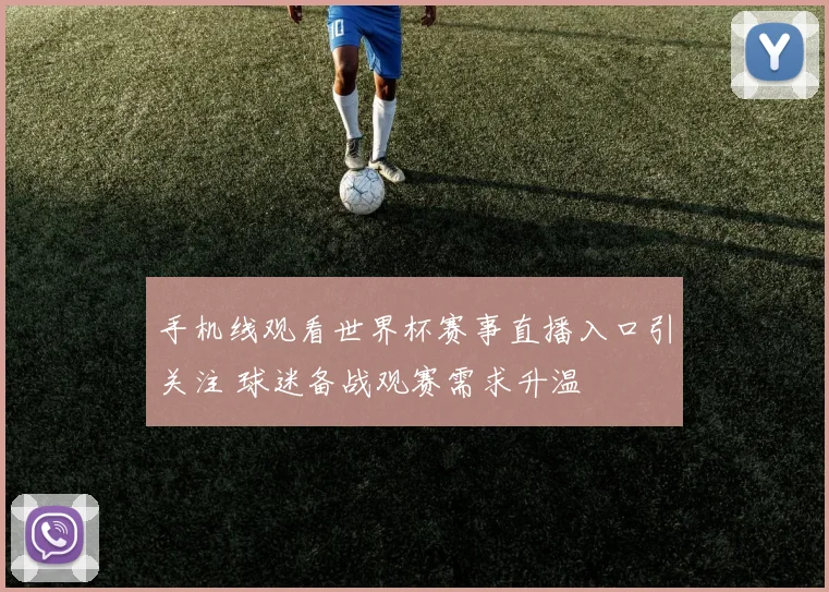 手机线观看世界杯赛事直播入口引关注 球迷备战观赛需求升温
