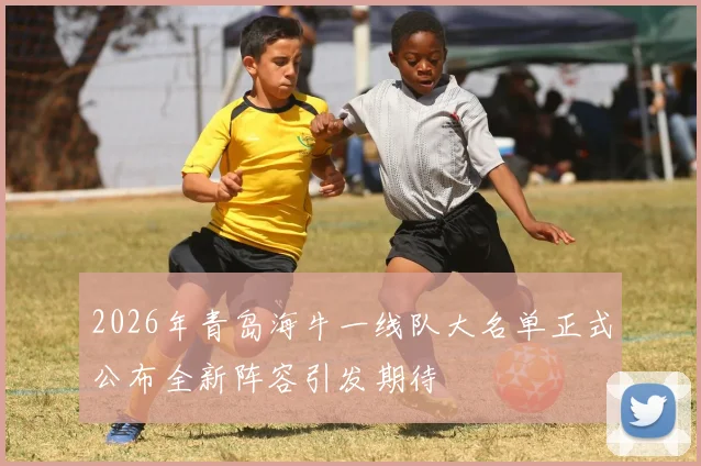 2026年青岛海牛一线队大名单正式公布全新阵容引发期待