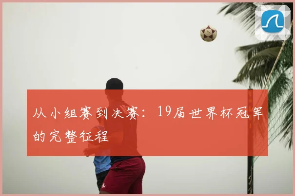 从小组赛到决赛：19届世界杯冠军的完整征程